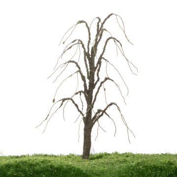 Unique Weeping willow - Trunk - 17-22cm (81-0240-02)