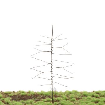Unique Scots pine - Trunk - Buildingkit - 135 mm (81-0000-01)