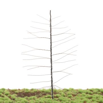 Unique Scots pine - Trunk - Buildingkit - 200 mm (81-0000-02)
