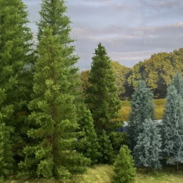 Unique Conifer Tree Making Workshop - Date: 13-02-2027 (WS-0004-01)